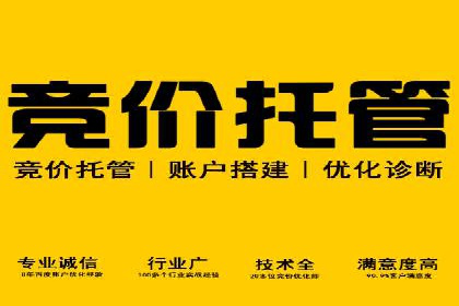 竞价代运营的案例研究：如何精准投放广告并获得回报